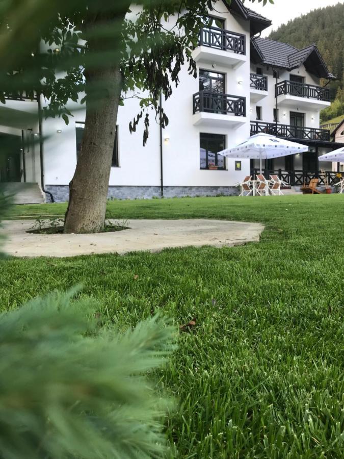 Pensiunea Edelweiss Voineasa Dış mekan fotoğraf