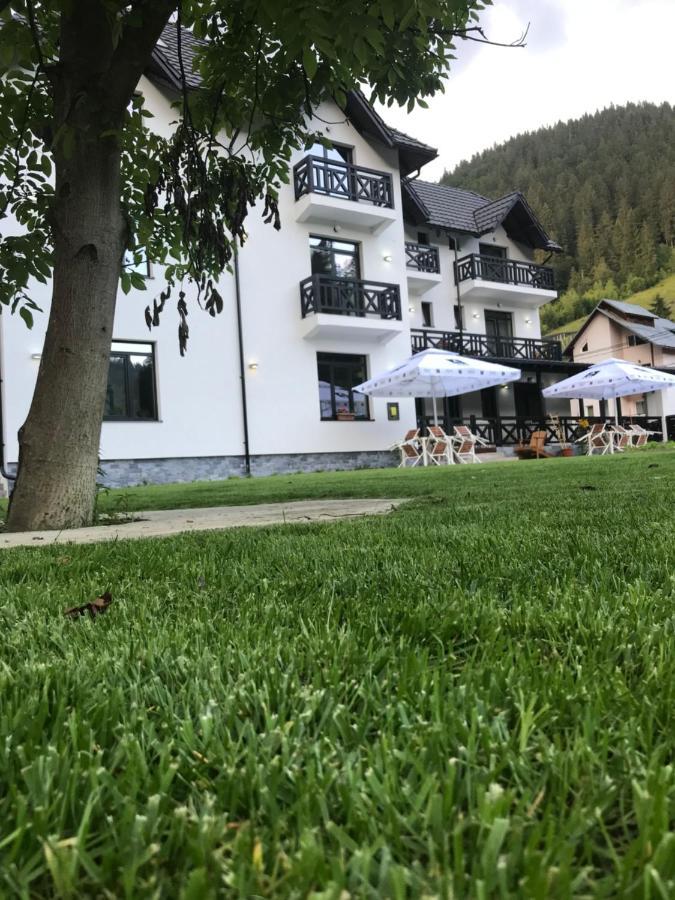Pensiunea Edelweiss Voineasa Dış mekan fotoğraf