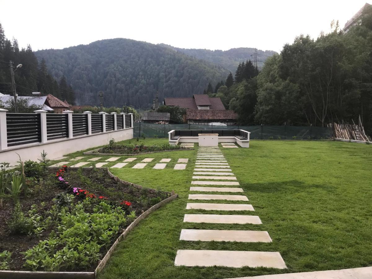 Pensiunea Edelweiss Voineasa Dış mekan fotoğraf