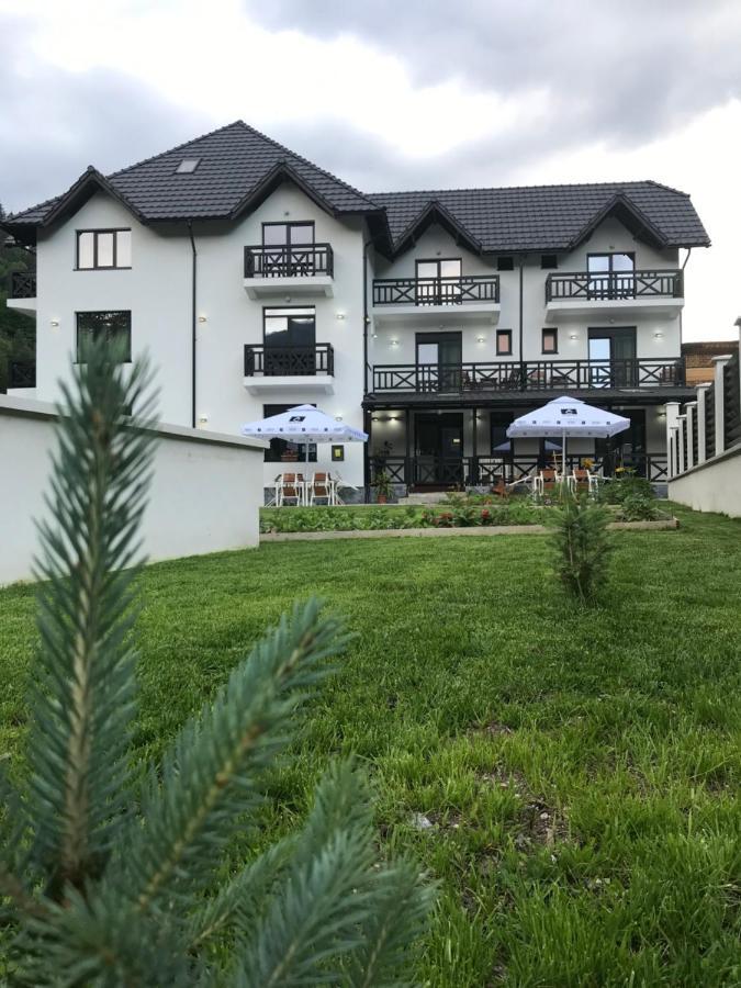 Pensiunea Edelweiss Voineasa Dış mekan fotoğraf