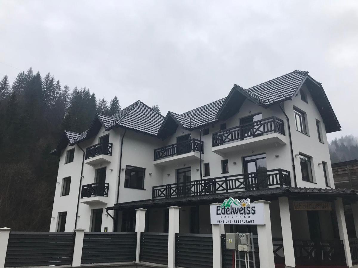 Pensiunea Edelweiss Voineasa Dış mekan fotoğraf